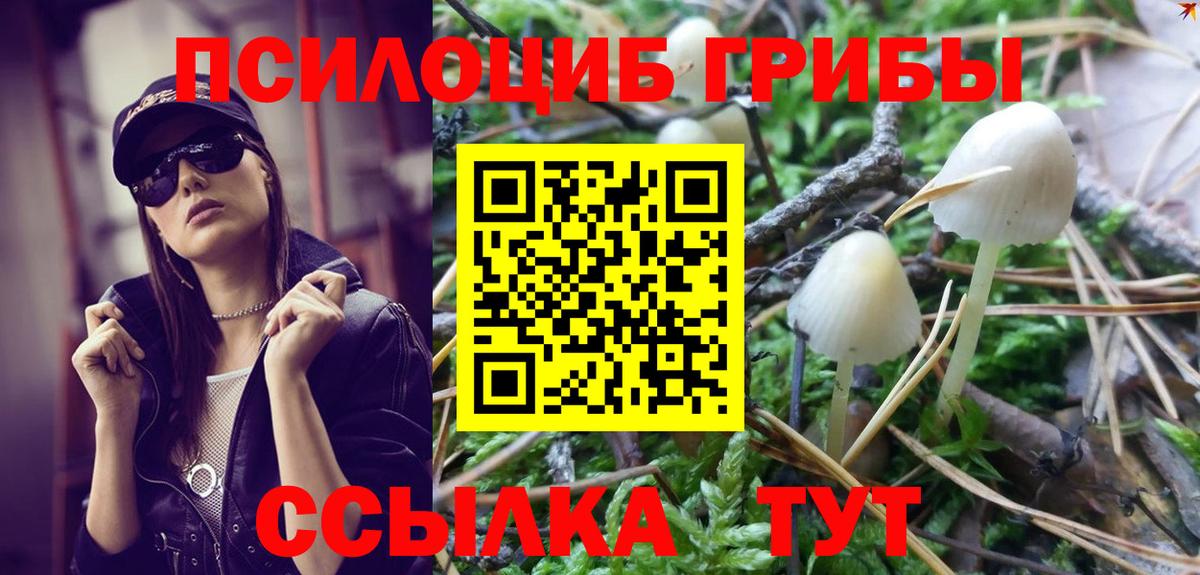 МЕФ Горно-Алтайск